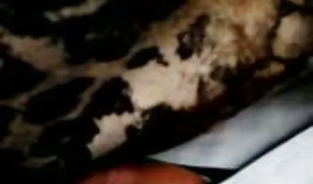 Oyun azeri xala seksi