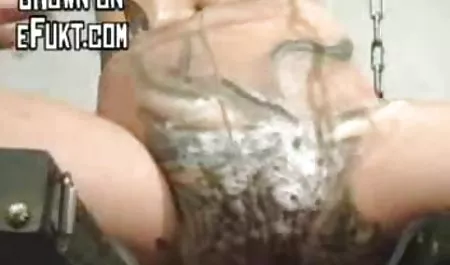 Euro güzellik dövülerek ve hakim it ve qizin seksi
